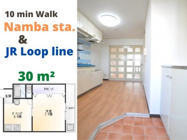 Midosuji line & JR Loop line Namba & Imamiya station, 1 Bedroom Bedrooms, ,1 BathroomBathrooms,Apartment,For Rent,Namba & Imamiya station,1072